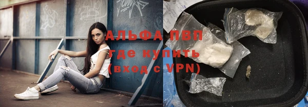 шишки Абинск