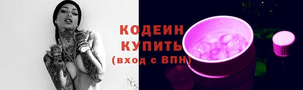 соль ск Абаза