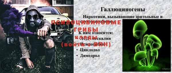 шишки Абинск