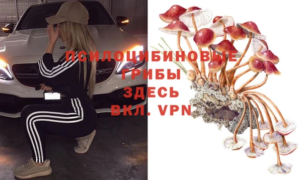 шишки Абинск